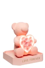 Meda sa večnom ružom, LED osvetljenjem i Bluetooth zvučnikom - Rose Bear - Slika 5
